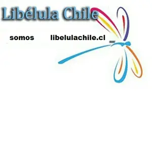 LibelulaChile